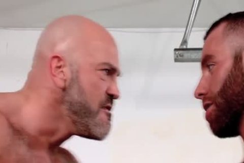 anal hammered Muscly Bear