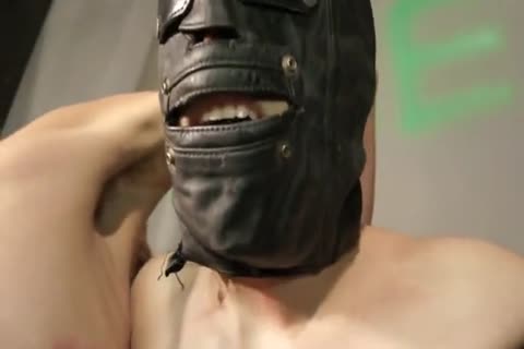 sadomasochism thraldom lad Whipped, Waxed, Milked