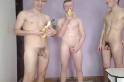 3 twinks On web camera