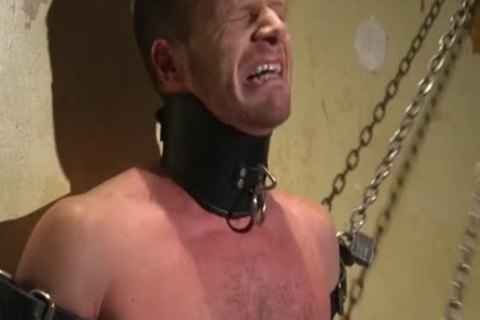 Muscle bondman thrashing And sperm flow