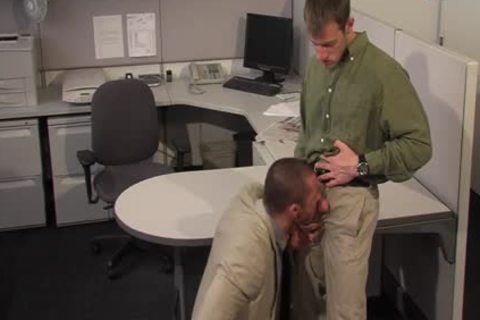 peculiar Reserve: Kyle Quinn & Jessy Ares - ass hammering In The Office