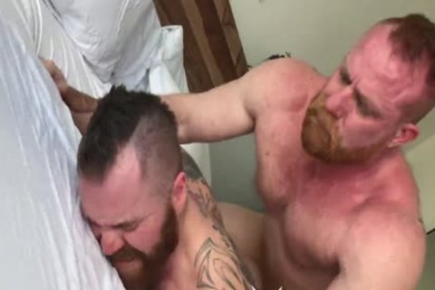 raw Bear's Breeding Zach & Eisen
