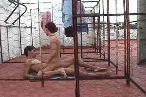 Rila A. Cardenaz Enjoys All Of girl Ishii