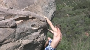 Gregg - Bear pleasure