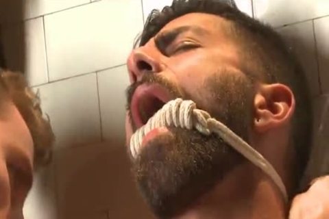 video 431