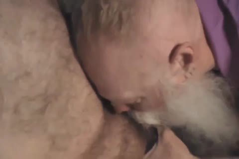 GAGBEAR tied To cum