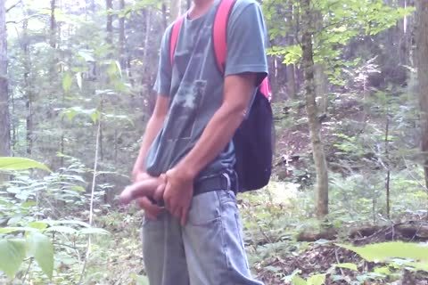 Forest And Nature Are My favourite Places. 2
