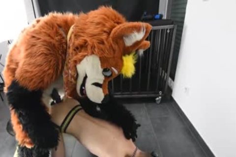 Puppy acquires nailed By Fursuit With  sex toy