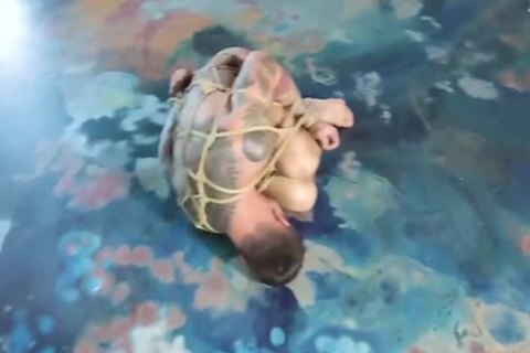 The Training Of serf Oleg final Part
