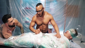 Wrapped