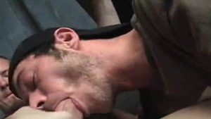 HOBO TO HOMO oral-job