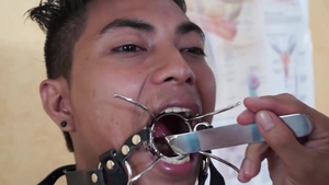 Doctor Twink: Doctor really likes nailed rough