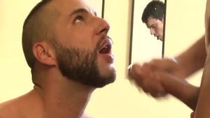 Nylon homo 1