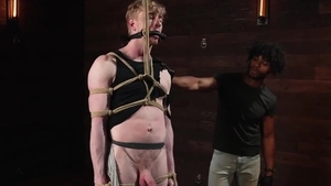 Jak Stonen N Tony Gerard