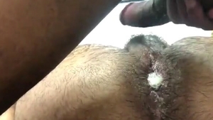 Urso Recebendo