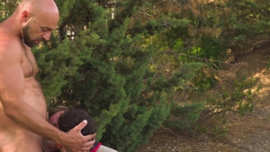 Wild Orgy Underneath the Twinkling Stars