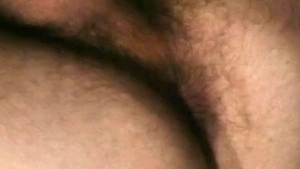 Falcon Studios: Windshield Wankers Unleashed