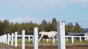 Men: Country Boys Secret Hideaway