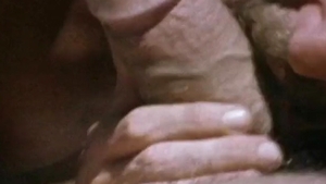 Falcon Studios: Champs Unleashed: A Wet and Wild Tale