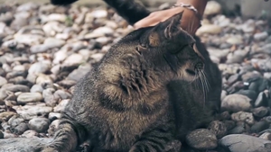 Navon Fulfills His Twink Fantasy with Raffi and Beno