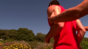 Trystan Bull: A Stroll Through Pleasure