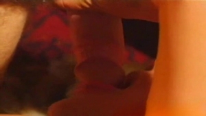 Boyz Party: Jungle Rumble: Triple Threat