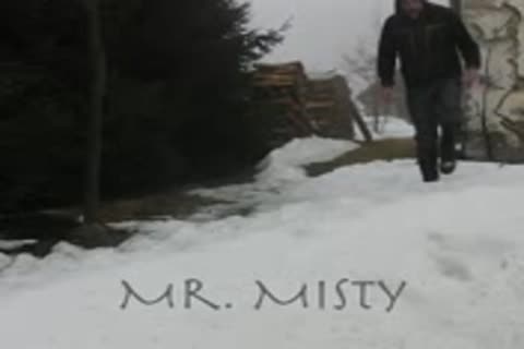 Mr. Misty